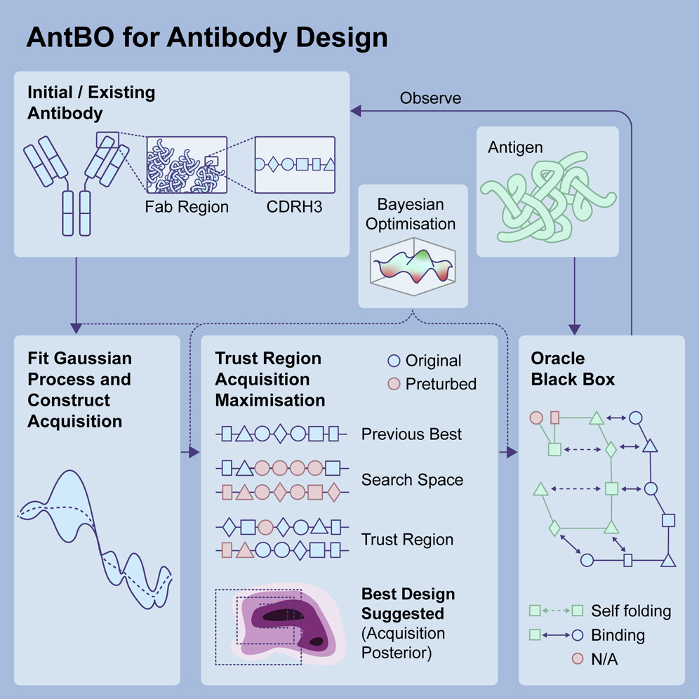 Adaptive ML laddering